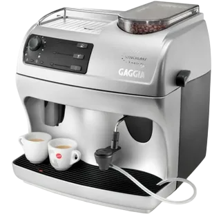 Замена жерновов Gaggia Syncrony Logic