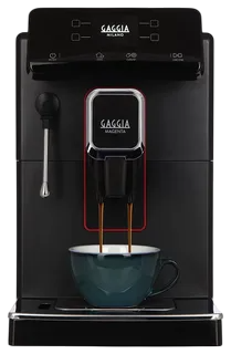 Замена жерновов Gaggia Magenta Plus BK 8700